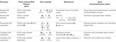 Structure and Pattern Formation in Biological Liquid Crystals: Insights From Theory and Simulation of Self-Assembly and Self-Organization